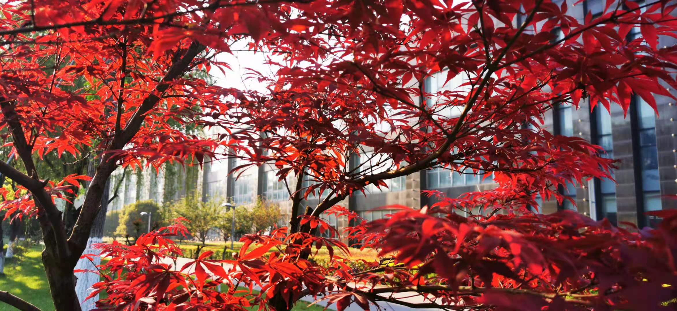 191613695582804416.jpeg 微信图片_20210219084437.jpg