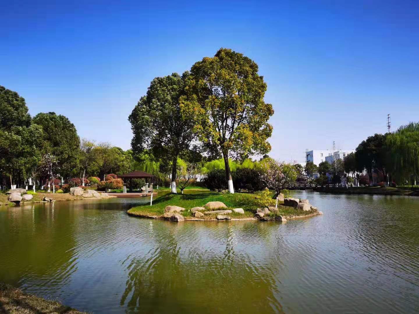 191613695890185464.jpeg 微信图片_20210219085036.jpg