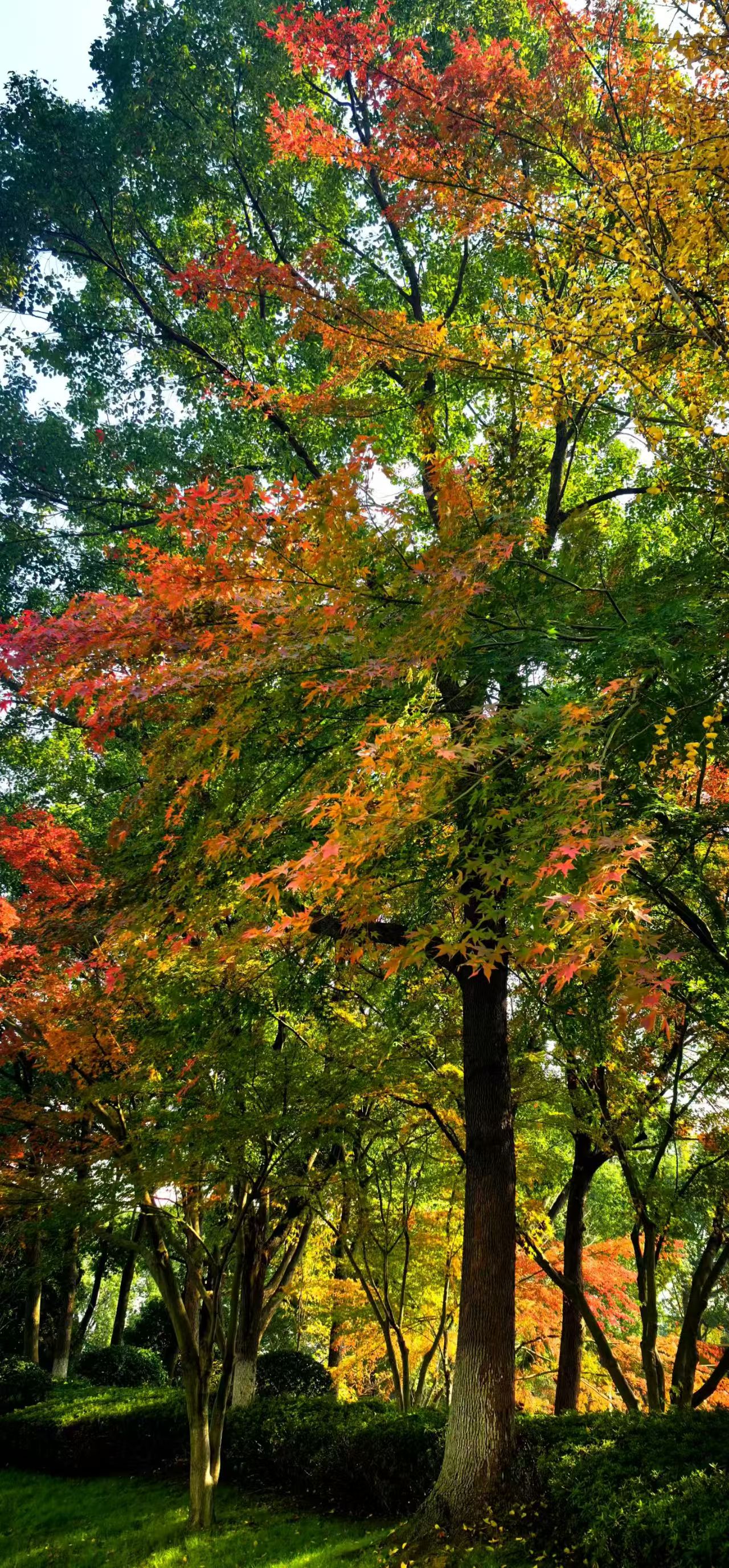 041764807885752840.jpeg fdc9cb96e238eb783436e4daf425f6a.jpg